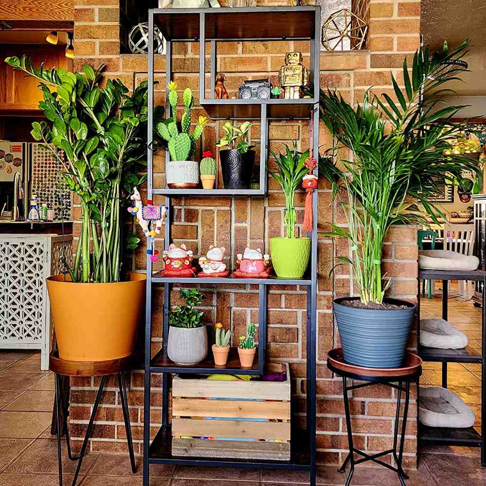 5 Tier Bookshelf: image 1